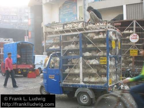 Crawford Market, Bombay, Mumbai, India